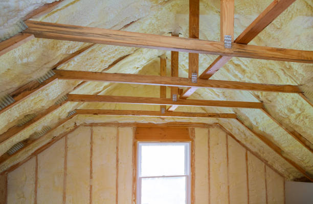 Best Best Insulation Companies  in Veazie, ME