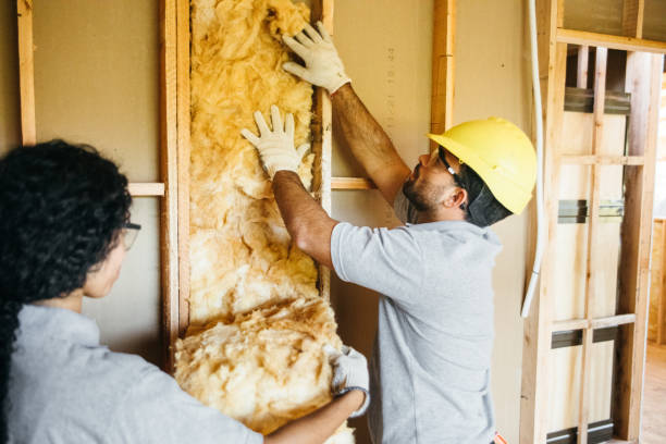 Best Spray Foam Insulation  in Veazie, ME