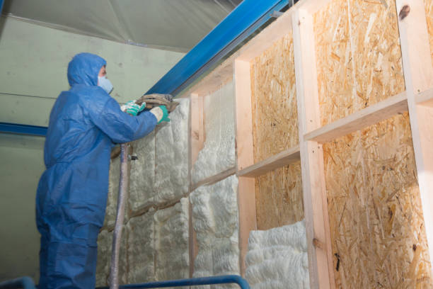 Best Affordable Insulation Services  in Veazie, ME