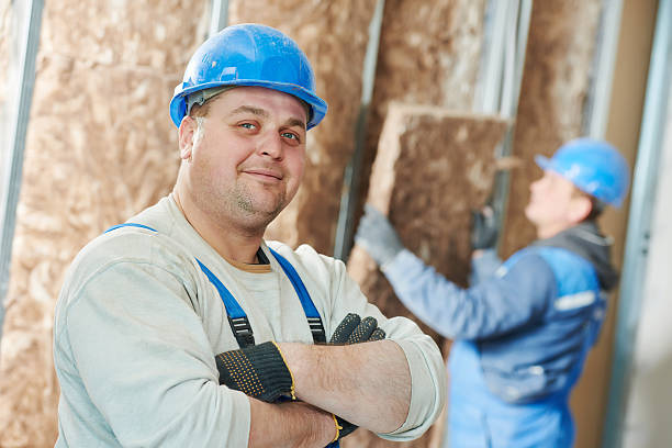 Best Wall Insulation Contractor  in Veazie, ME